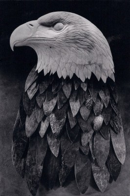 'Bald Eagle' (carved and assembled moose antler) by Maureen Morris