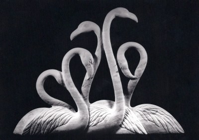 Five Flamingos by Maureen Morris